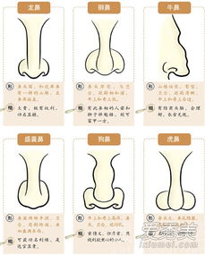 不同面相特征对婚姻的影响