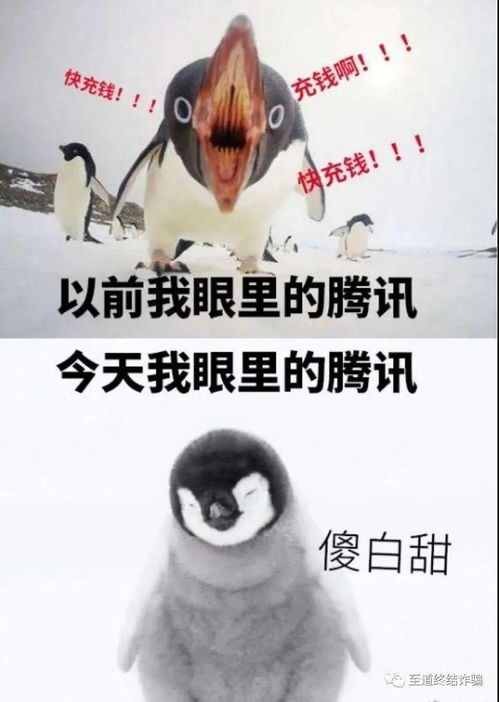 那是一个普通的夜晚