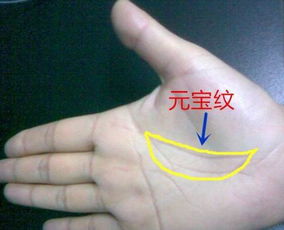 钱财纹到底代表哪些啊兄弟们