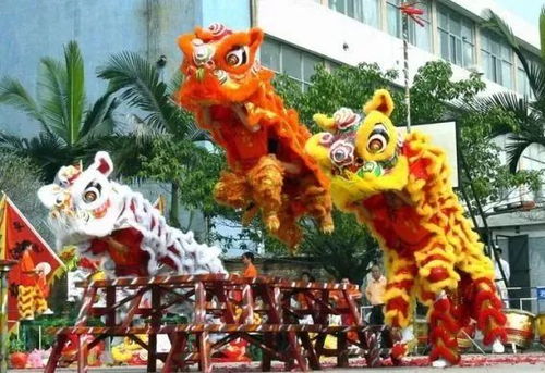 舞狮文化：广东过年传承盛宴，爆款庆祝习俗