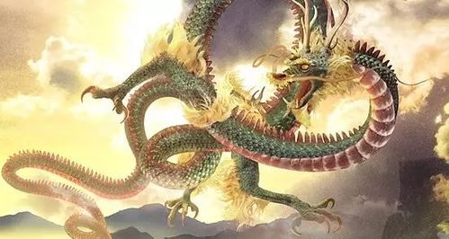 梦到龙突然醒来这是否预示着什么特殊征兆？