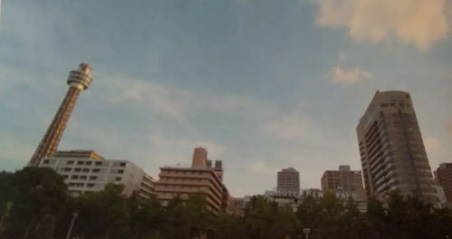饶河街夜市：地道台湾味