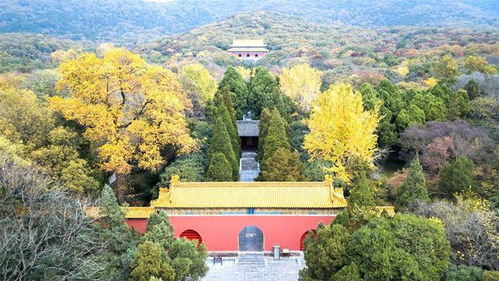 明孝陵坐落于哪,明孝陵讲解