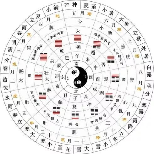 冰天雪窖指的是哪个生肖？这个生肖又该如何为一个？