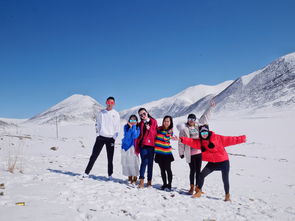 三、 深度滑雪体验——各种选择都有