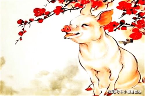 震惊！2026年这几个生肖女要逆天改命！快看有没有你！