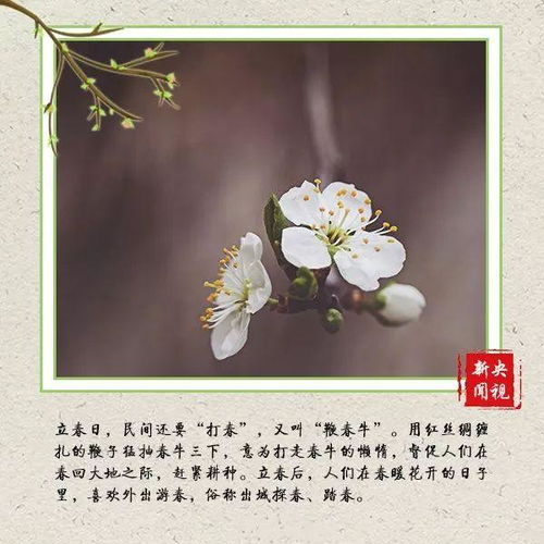 民俗趣谈：躲春、咬春，你真实的做过吗？