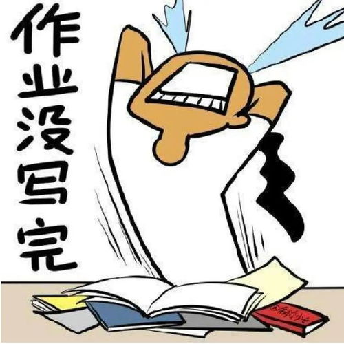 现代守孝奇葩说！笑死个人！