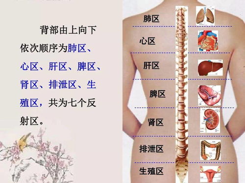 天啊！你的内脏居然在玩狼人杀