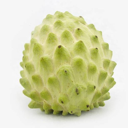 释迦：佛头果， 却不是寺庙里的供品