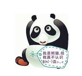血型性格大揭秘