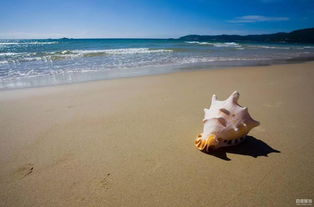 惯与这次春游的一些胡思乱想