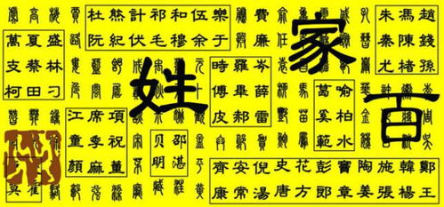 四、 实战案例表格（随手画的乱七八糟表）