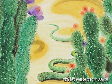 将蜿蜒曲折的蛇生肖为，会是：哪个生肖的尾巴如此长，如同蜿蜒曲折的河流？