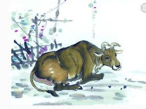 属牛的今年与属兔的婚姻，属牛的和属兔共事，他们的关系如何？