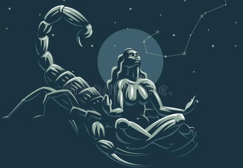 其他星座的匹配情况