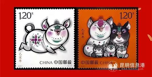 哪一年是九生肖年？左五右四共九画对应的生肖是什么？