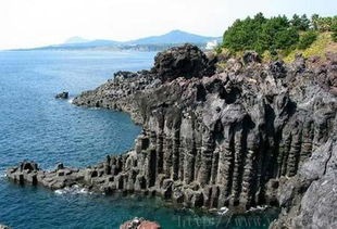 六、 威海与济州岛：历史持续发展文化底蕴、节庆活动及旅行特色对比（乱七八糟版）