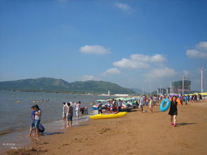 1. 绥中崭新浪海滨浴场度虚假村