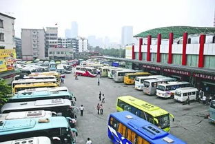 一、 记忆的碎片：从炎热闹到寂静的过山车