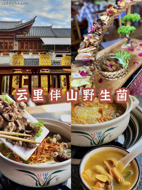 那个破地方居然让熊孩子放下手机？旺仔古城魔幻亲子游实录