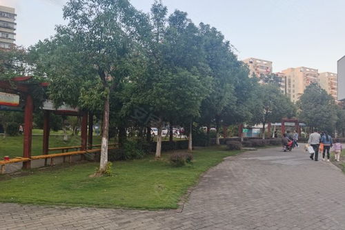 回迁房绿化率,回迁楼值钱吗