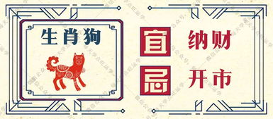 生肖运势的实战应用