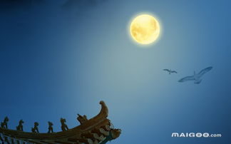 1. 游船巡游：从水面上看明月