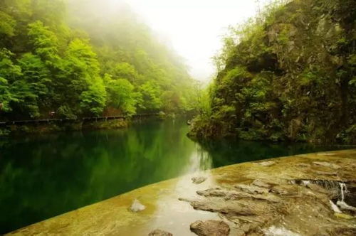 安康中坝较大峡谷景区以较窄、 较长、秀、奇、清、灵、野、神、险、幽为特点,集峰、石、洞、林、禽、兽、泉、潭、瀑等天然景观于一体,是安宁 、纯净 、洗却心灵尘埃的幽雅之地