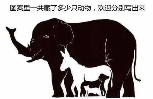 左思右想的生肖动物是哪一种？