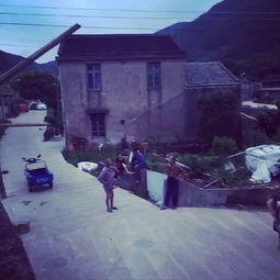 午夜钟声与生肖鼠的宿命纠缠