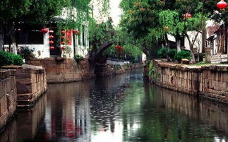 运河夜色与灯光秀