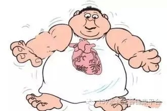 气血不足的真相：为什么气虚会导致体重增加，血虚却使人消瘦？