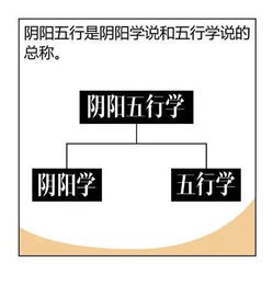 我的八字能测出前世今生命运吗？精准预测我的前生今世运势如何？