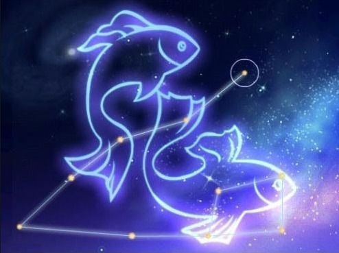 星座恋爱迷惑行为大赏