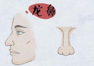 鼻梁高且鼻孔大是否面相不佳，鼻孔外露面相如何改善？