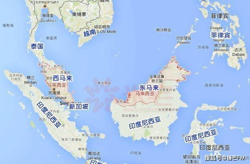 新加坡：花园城市的转机枢纽