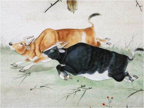 2. 属马男