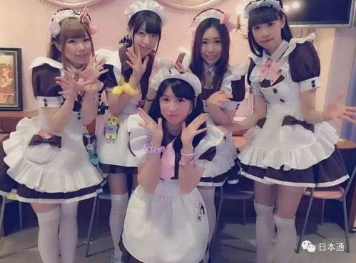 女仆咖啡馆？简直是大型社死现场！