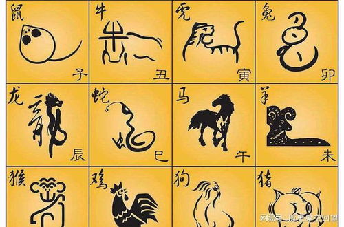 哪个生肖代表独自前行的精神？