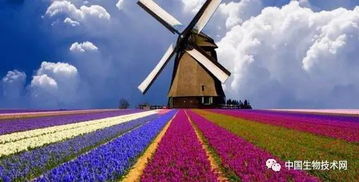 数字游戏：28万冤种的血泪账单