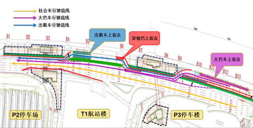维也纳机场：光鲜外表下的混乱真相