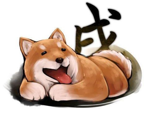 单身必看：