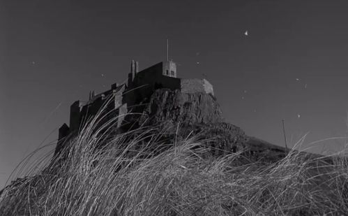 关于《小白船》的不安