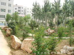 济南峰胜建筑工程有限公司,济南峰景园林工程有限公司