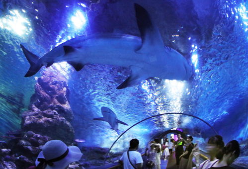 真相一：位置大乌龙！99%的人都跑错地方了