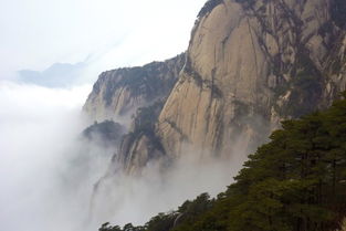 我的个人建议：货比三家 + 自助游