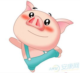 83年属猪人今年运势如何？