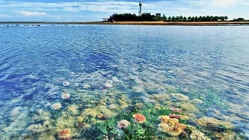 湛江：一个被太阳烤焦的南海边角料