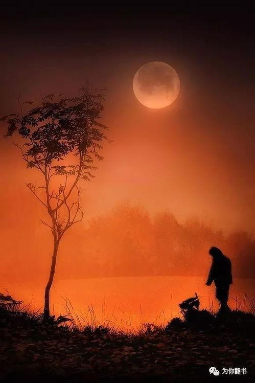 #五行相冲# 的笑话版解释